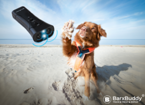 BarxBuddy dog training device